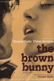 The Brown Bunny (2003) +18